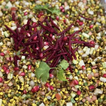 Authentic Indian vegetarian dishes